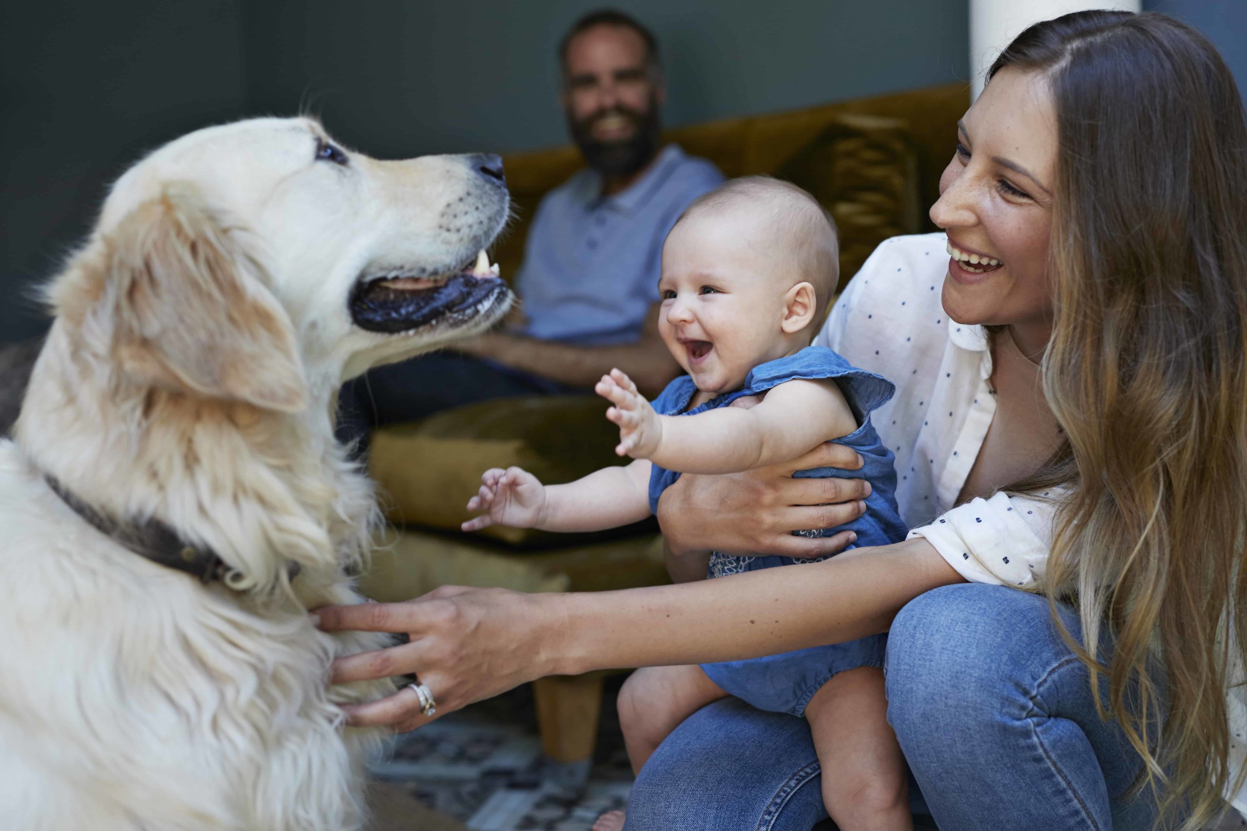 couple with new baby, dog and there are a lot of expenses