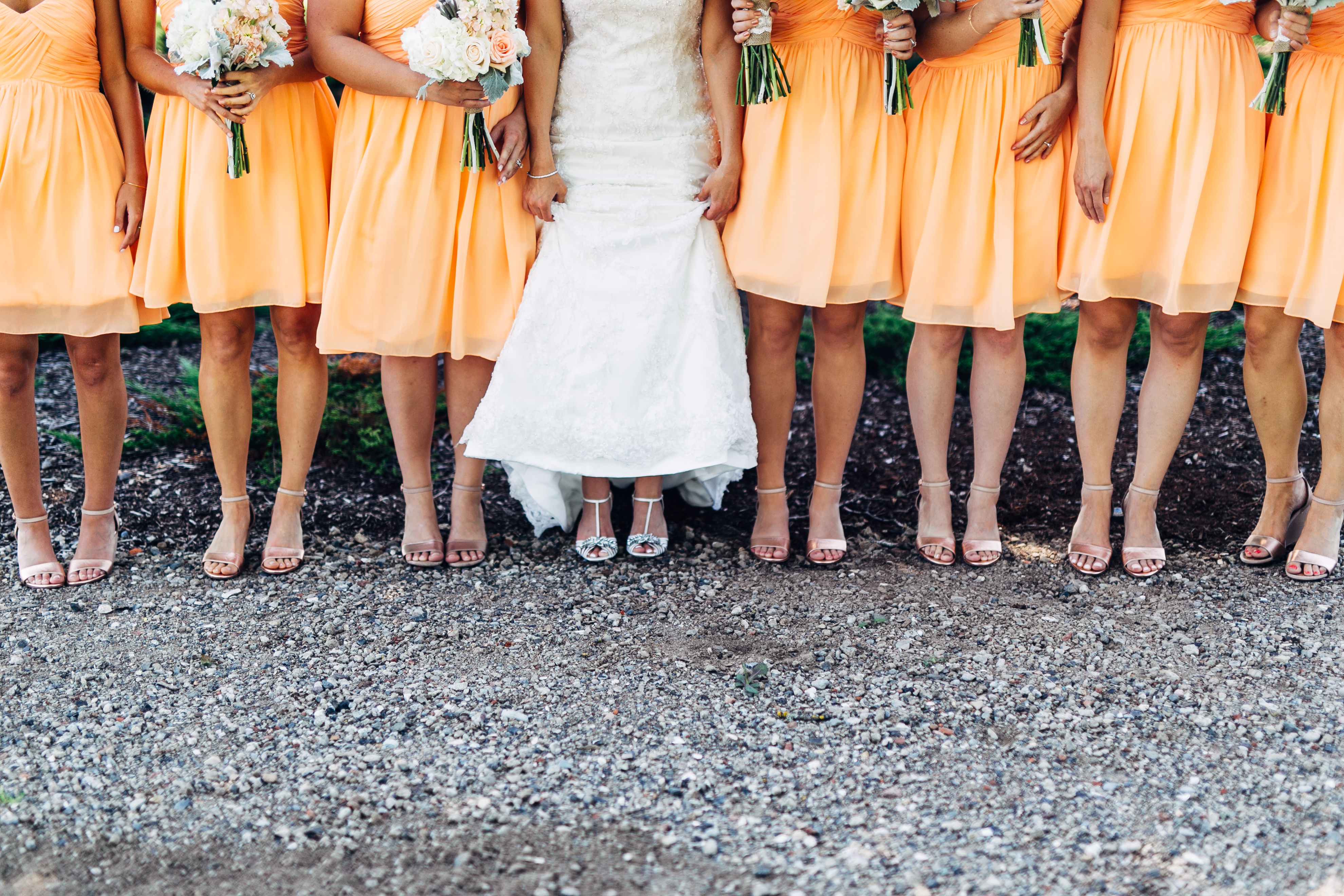 A photo of a bride with her bridal party.