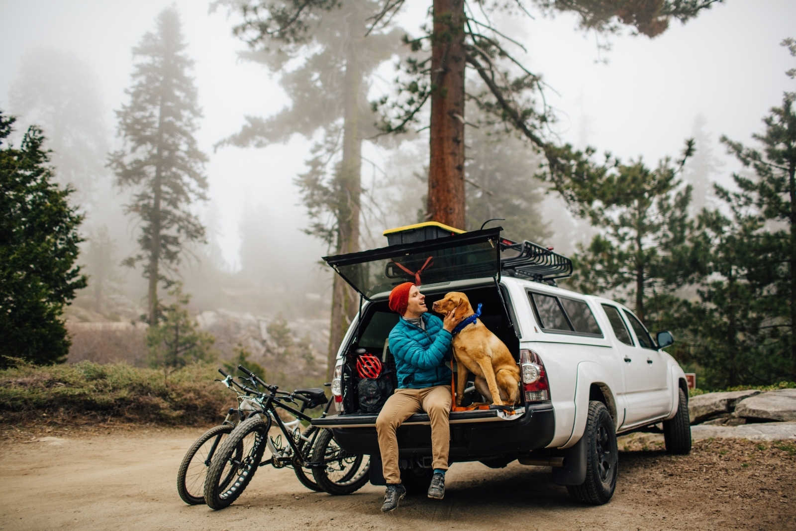 young man sitting in the back of his truck with his dog at a national park